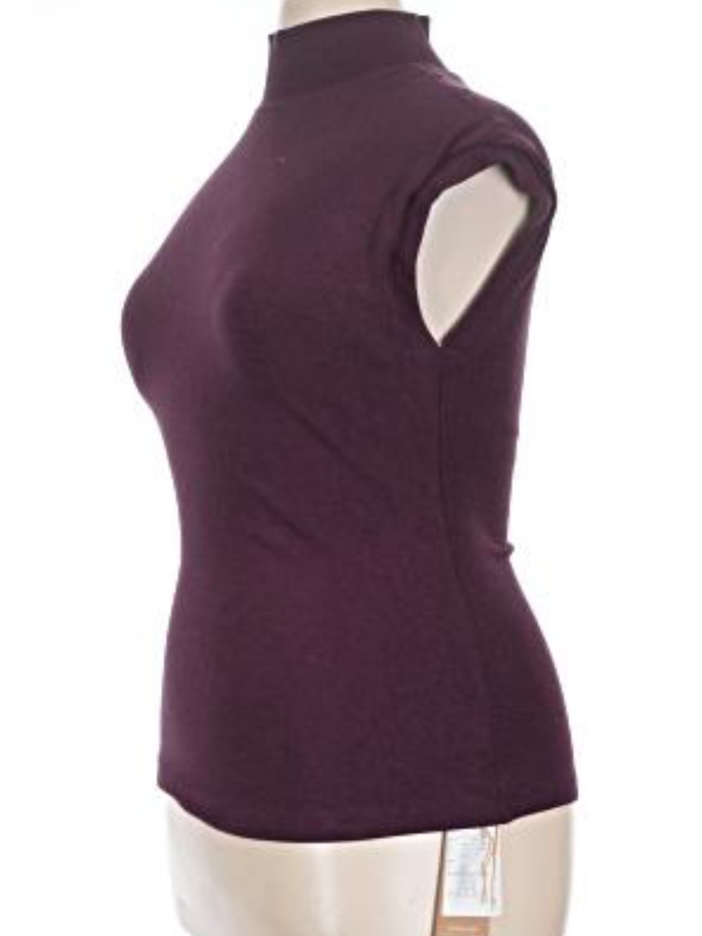 OGL Sleeveless Mock Neck Camisole in Plum